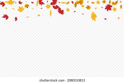 brauner Blattvektor, transparenter Hintergrund. Papierleaf-Illustration. Grüne Baumpflanzenkarte. Musterrahmen.
