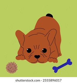 Brown french dog. Flat vector illustration.