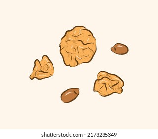 Brown fried gluten with peanuts in flat cute vector illustration art design