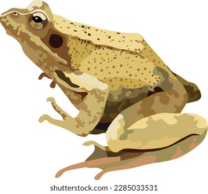 Ilustración de vectores de animales reptiles de rana marrón