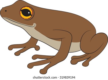 Brown Frog - Vector - Illustration