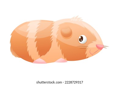 Brown Furry Guinea Pig with Cute Snout as Home Pet Animal Vector Illustration