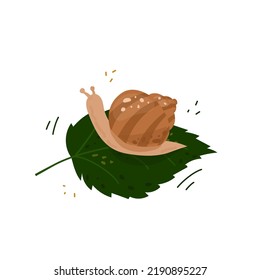 Brown garden snail on a green leaf. Hand drawn vector illustration in cartoon style