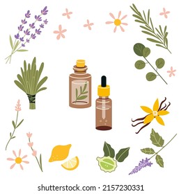 Botella de vidrio marrón y plantas de aceite esenciales populares, estilo caricatura. Concepto de aromaterapia natural. Ilustración vectorial moderna de moda aislada en fondo blanco, dibujado a mano, diseño plano.