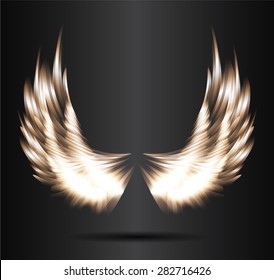 brown glowing, stylized angel wings on a black background. vector