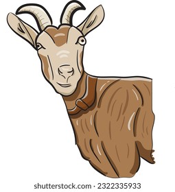 a brown goat facing towards you