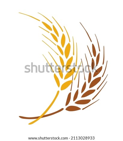 Brown, gold spikelet of wheat isolated on white background. Cereals, flour products, pastries. For print, label, logo, shop, bakery. Simple vector drawing.
