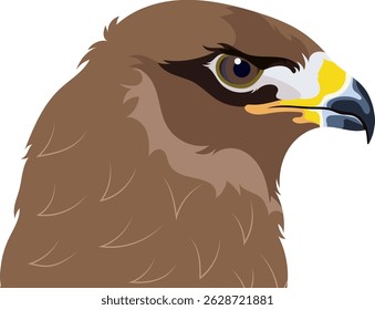 Brown Golden Eagle Bird Animal Portrait Illustration Isolated on White Background