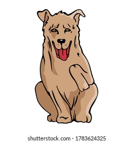 Brown Golden Retriever Raising Foot Cute Pet Animal Design 