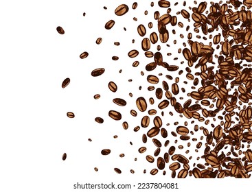 Brown Grain Roasted Vector White Background. Realistic Arabic Cover. Black Sketch Robusta Template. Drawn Seed Design.