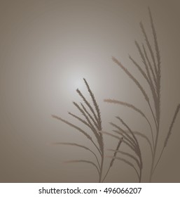Brown grass blowing in the wind
