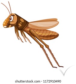 A Brown Grasshopper Jumping Illustration