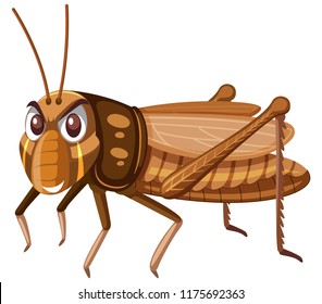 A brown grasshopper on white background illustration