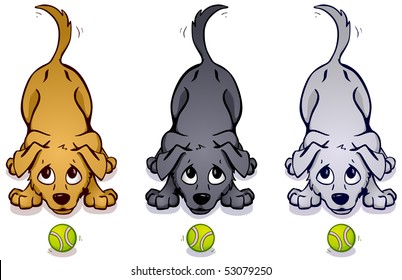 Brown, gray, and white dogs wagging their tails with tennis balls in front of them.