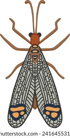 Brown and Grey Winged Bug Illustration