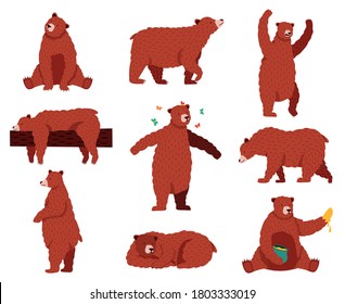 Brown grizzly bear. Cartoon wild cute bears, forest fur animal, sitting, playing and sleeping wildlife mammal, funny bear vector illustration set. Bear animal, wild forest cartoon, grizzly brown