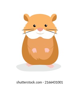 brown hamster standing on two legs