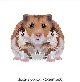 Brown Hamster Vector Illustration Design