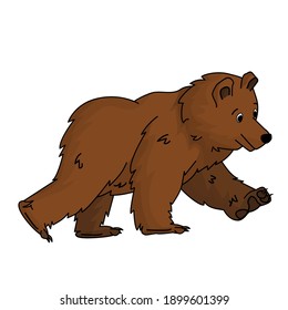 Brown hand drawn bear grizzly is walking or traveling to somewhere. Animal is isolated on white background