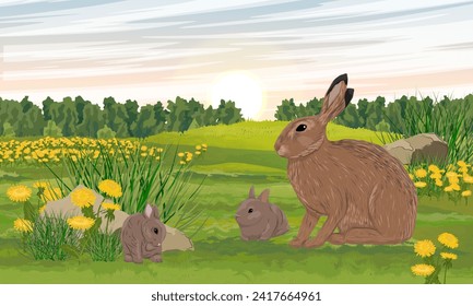A brown hare and two bunnies walks through a summer flowering field with dandelions. Animals of Europe. Realistic vector landscape