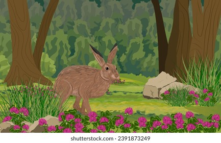 A brown hare walks through a dense forest. Blooming summer forest. Animals of Europe. Realistic vector landscape