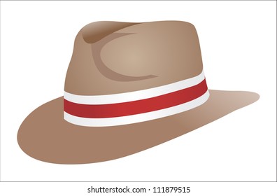 Brown hat on the white background