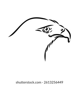 Brown hawk vector sketch Vintage eagle, great design for any purposes.