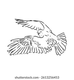 Brown hawk vector sketch Vintage eagle, great design for any purposes.