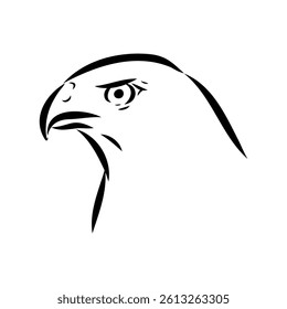 Brown hawk vector sketch Vintage eagle, great design for any purposes.
