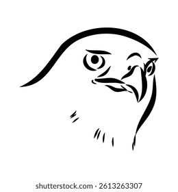 Brown hawk vector sketch Vintage eagle, great design for any purposes.