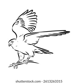 Brown hawk vector sketch Vintage eagle, great design for any purposes.