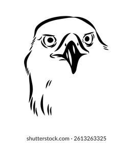 Brown hawk vector sketch Vintage eagle, great design for any purposes.