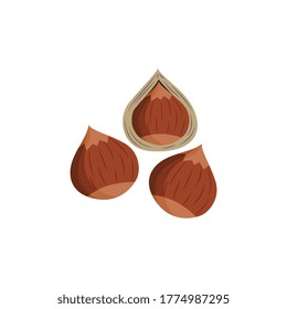 Brown hazel nuts with and without shell - food illustration isolated on white background. Vector drawing of three peeled and unpeeled hazelnuts