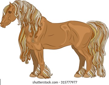 brown heavy draft horse