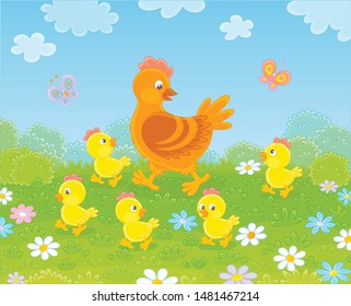 Brown hen with little yellow chicks walking on green grass among flowers on a summer meadow on a sunny day, vector illustration in a cartoon style