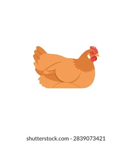 Brown hen sitting in brooding pose vector illustration isolated on white background