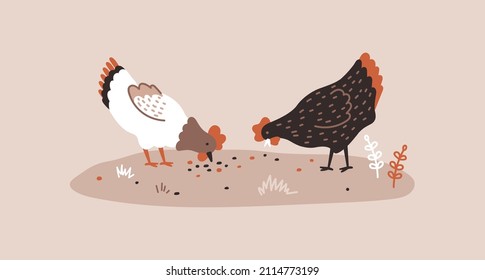 The brown hen and the white hen are pecking the grains. Chicken farm. Cartoon. Cozy vector illustration.