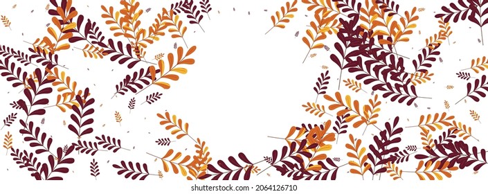 Brown Herb Background White Vector. Leaves Isolated Design. Green Plant. Gold Leaf Dead. Elm Illustration.