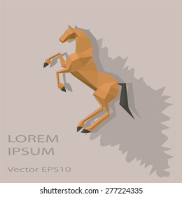 Brown horse