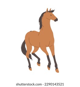 Brown horse animal full length, flat vector illustration isolated on white background. Cowboy or race horse or feral mustang animal character, Arabian equin.