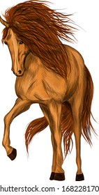 brown horse animal vector illustration