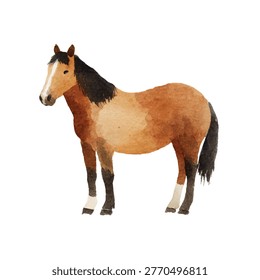 A brown horse with a black mane