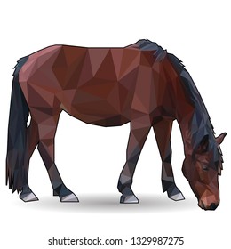  brown horse closeup low poly isolated on white background