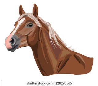 brown horse in the color called palomino