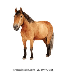A brown horse with dark mane