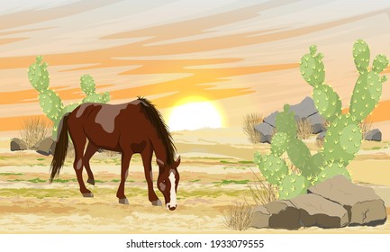 Brown horse in the desert at sunset. Sand, stones and thickets of Opuntia cactus. Realistic vector landscape.