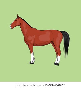 Brown horse hand drawing flat cartoon vector illustration