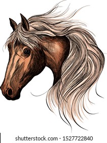 brown horse head with light mane vector