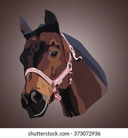 Brown Horse head vector illustration