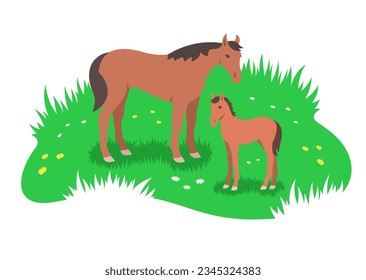 Brown horse and her little foal grazing in the green flower meadow. Simple flat stylized illustration